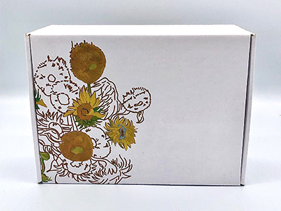 飛機盒彩箱定製批發 三層紙箱飛機盒生產廠家