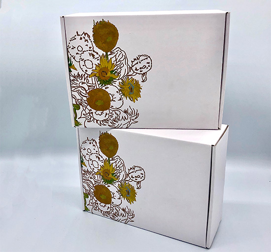 飛機盒彩箱定製批發 三層紙（zhǐ）箱飛機盒（hé）生產廠家